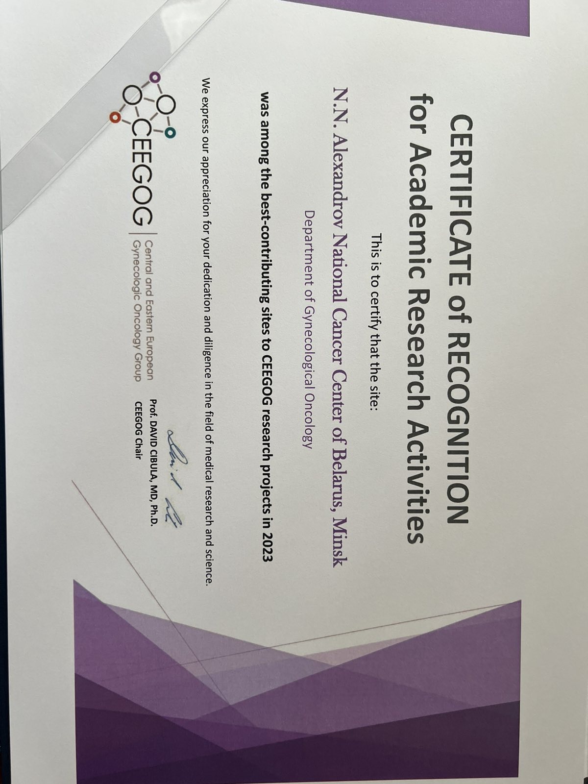 soveshchanie tsentralnoj i vostochno evropejskoj ginekologicheskoj onkologicheskoj gruppy central and eastern european gynecologic oncology group ceegog 4