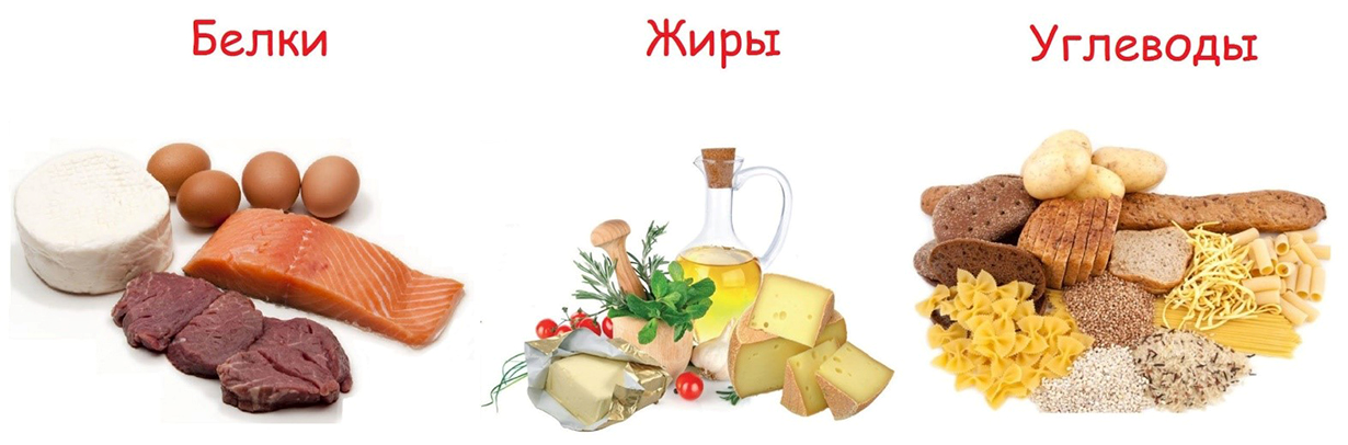 profilaktika.jpeg